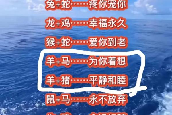 属猪老婆的命理解析：她们的优势与生活幸福的秘密
