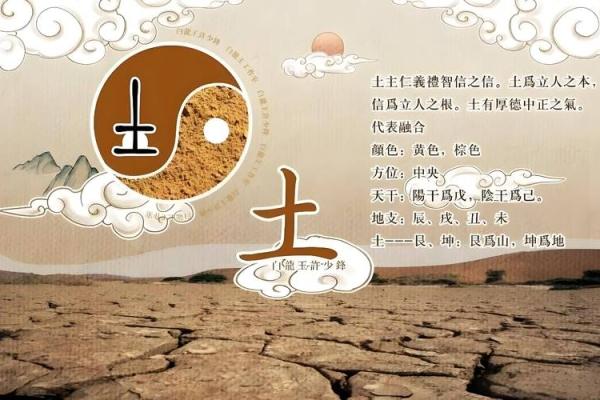 1928年命理与命运的奇妙交织：一个深刻的探索