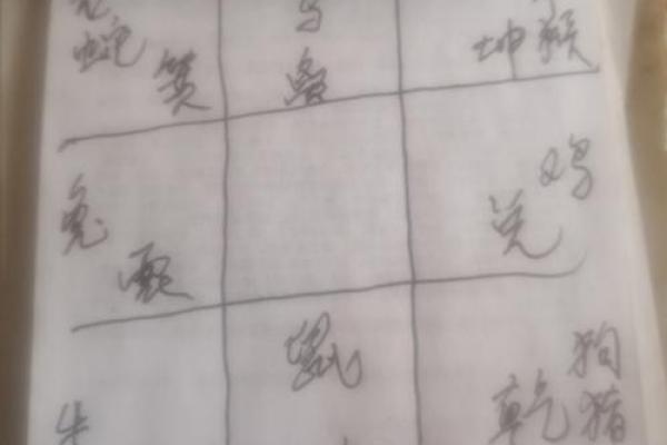 丙子乙丑之命年：探寻五行命理背后的奥秘与智慧