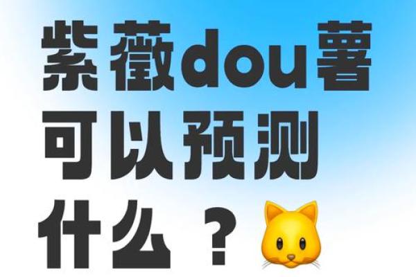丙子年：揭秘丙子年人生的命理特征与命运走向