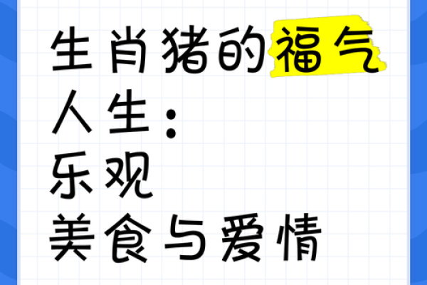 属猪的2023年：出生命理与人生方向探秘