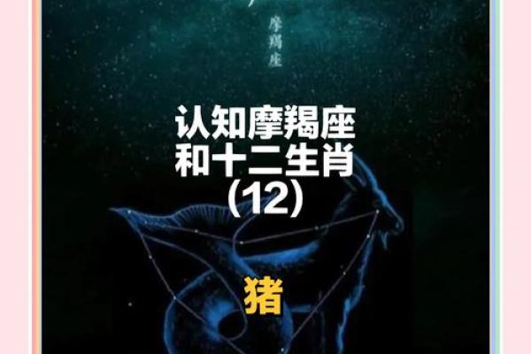 1995年属猪女命解析：幸福与挑战并存的精彩人生