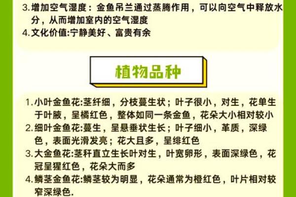 金鱼养殖：适合什么命人的最佳选择与技巧