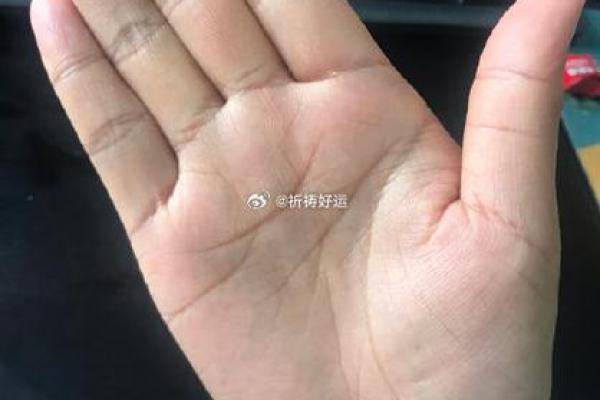 手指细长的男人：命运与魅力的交织探秘