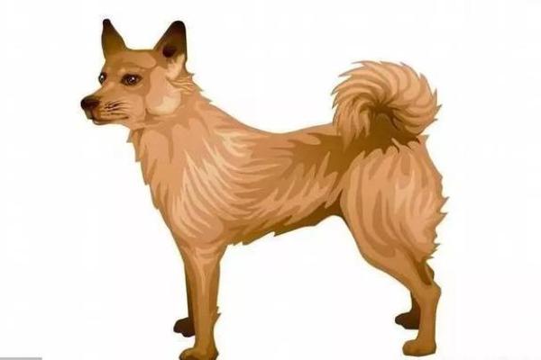 揭秘盲师断命中的桃花煞：命运与情感的交织