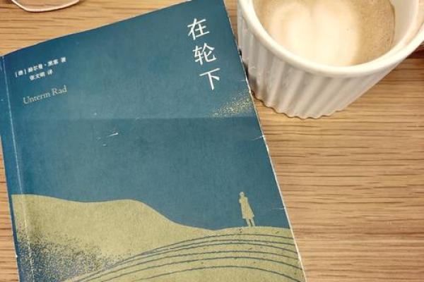 《迁坟改命：命运的转折与选择》