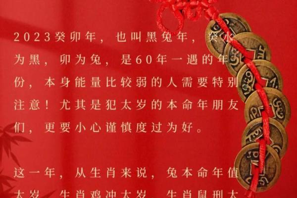 59岁属什么，2023年命运解析与生活感悟