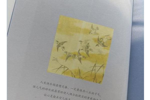揭秘日月照命：探寻命理中的和谐美学与人生智慧