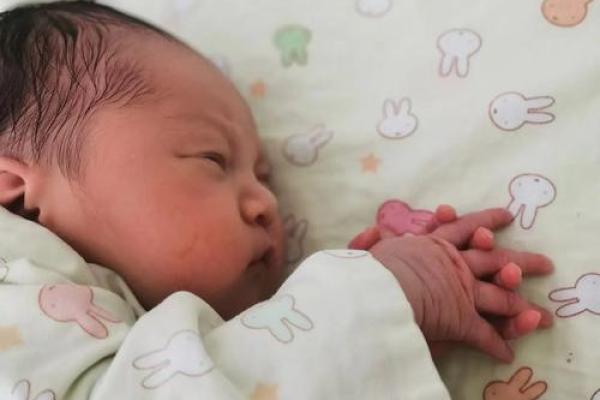 明年兔年出生的宝宝命运解析：赋予他们的希望与机遇