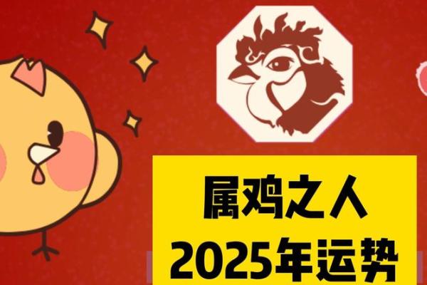 属鸡的命运与漫画女神的精彩人生探秘