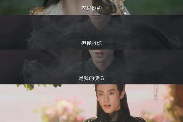 苍兰诀：一命换一命的深邃哲理与情感交织
