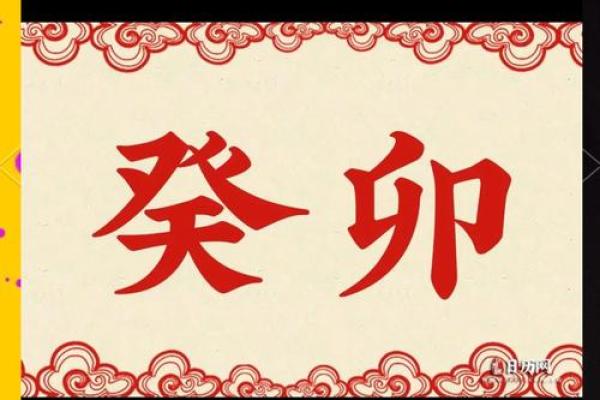2023年属猪人的命运解析：机遇与挑战并存的精彩一年