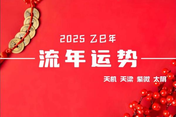 已未羊年，命运与运势的精彩交响曲
