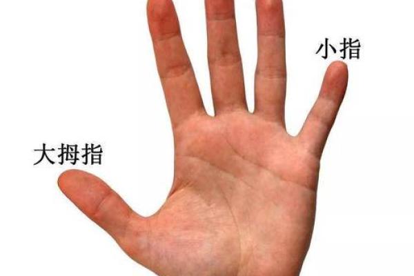 手指与命运：探秘指尖簸箕的神秘象征意义