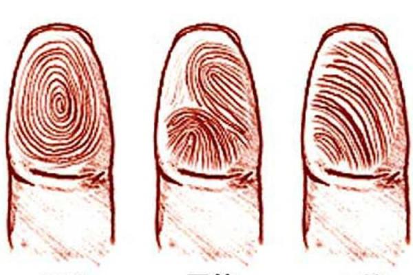 手指与命运：探秘指尖簸箕的神秘象征意义