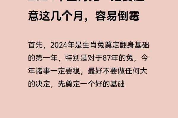 33岁兔年是什么命？浅谈兔年出生人的命运与性格特点