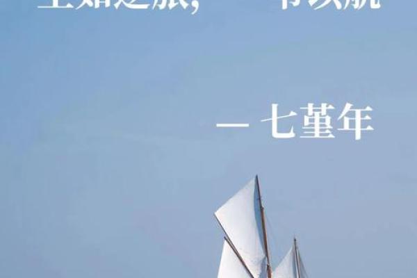 2003年出生的人：命理与个性的独特旅程