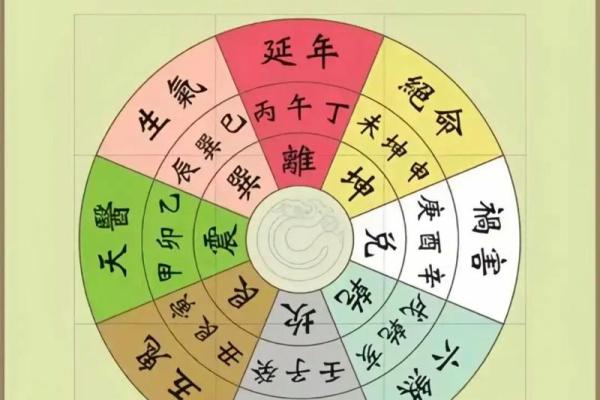 2009年火命人如何通过风水改善运势与财富