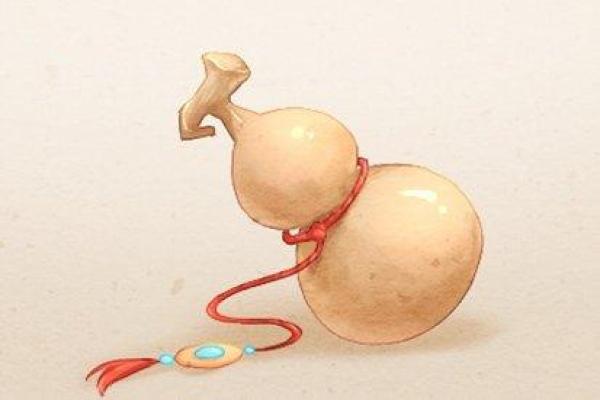 如何通过西墙挂饰提升家中木命和土命的运势？