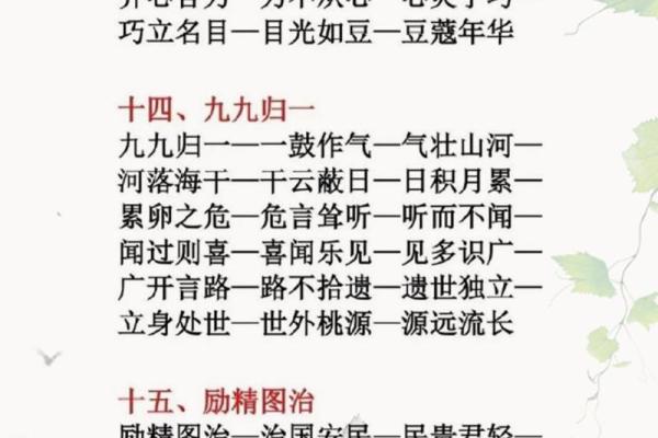 看什么什么命：成语接龙的趣味与智慧