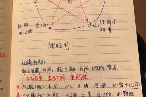 揭秘男命地支合的奥秘与人生智慧