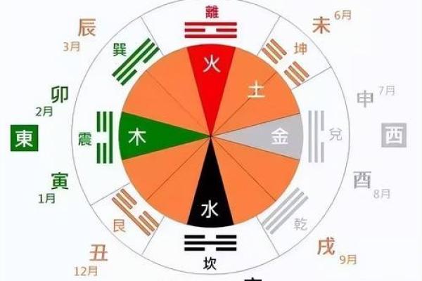 揭秘男命地支合的奥秘与人生智慧