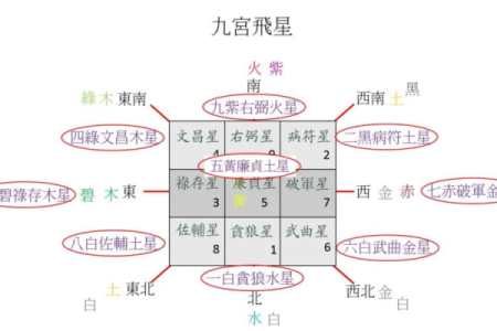 2023年：虎兔命的缘起与未来展望，探索命理的奥秘！