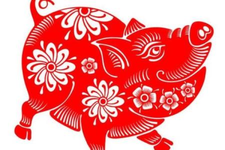 属猪人吃喝命的奥秘：如何享受生活与财富的平衡