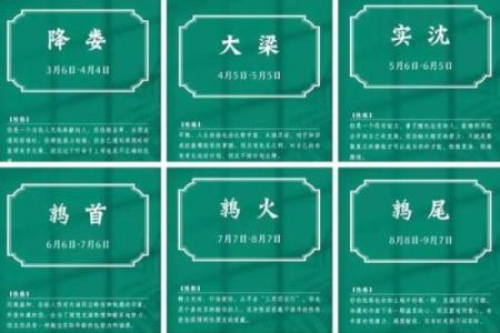 1992年阴历出生的人命运与性格解析：你是命中的几颗星？
