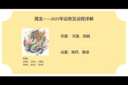 探秘高贵命 龍年与生肖的秘密解读