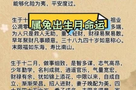 兔年财运亨通：揭示天降横财的命理秘密