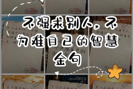 晚上出生的人命运解析：蕴藏在星空下的智慧与机遇