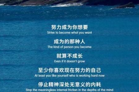 在不可改变的命运中寻找希望与自我救赎的力量