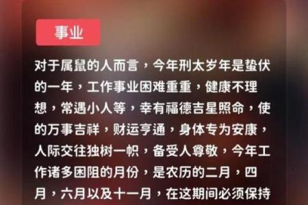 属鼠男1996年出生的命运解析：智慧与机遇并存的精彩人生