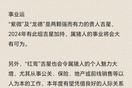亥猪五行解析：探索豕年人的命运与性格魅力