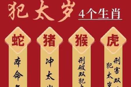 属猴子的人都有哪些命格适合选择的运势与人生方向？