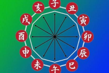 探索1987年出生者的命运与人生轨迹