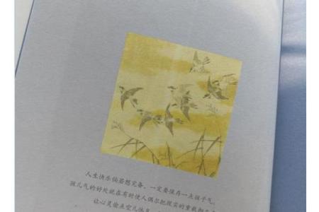 揭秘日月照命：探寻命理中的和谐美学与人生智慧