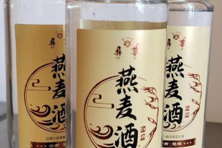 酒者的命运：醉饮人生的哲学与启示