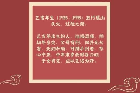 2023年属猪人的命运解析：机遇与挑战并存的精彩一年