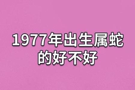 一九七七年出生的命运：探讨生肖蛇的人生轨迹与性格特点