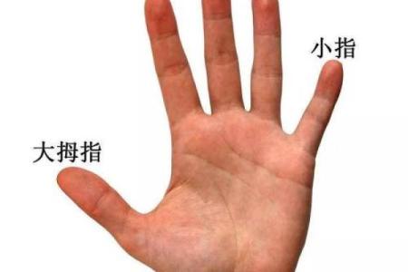 手指与命运：探秘指尖簸箕的神秘象征意义