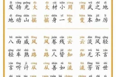 看什么什么命：成语接龙的趣味与智慧