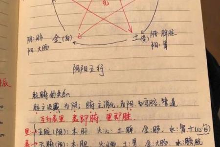 揭秘男命地支合的奥秘与人生智慧