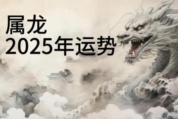 2024年属龙，揭开龙年的神秘面纱与命理解析