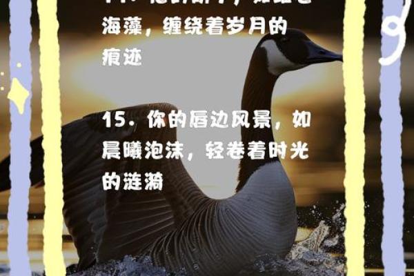 命理中的胡子：象征与意义探究