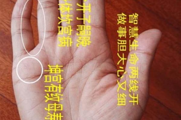 五六年出生者的生肖与命运探秘：揭开命理的神秘面纱