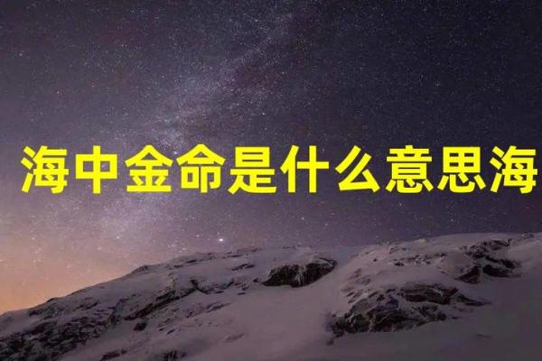 海中金命的魅力与生活中的好处探析