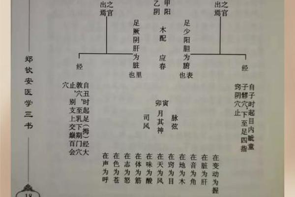 探寻命理之秘：55年生人五行与命运的奥秘