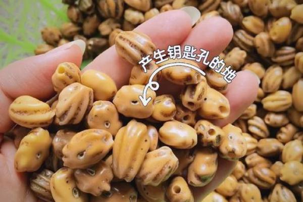 水命人适合的文玩：探索水的灵性与艺术之美